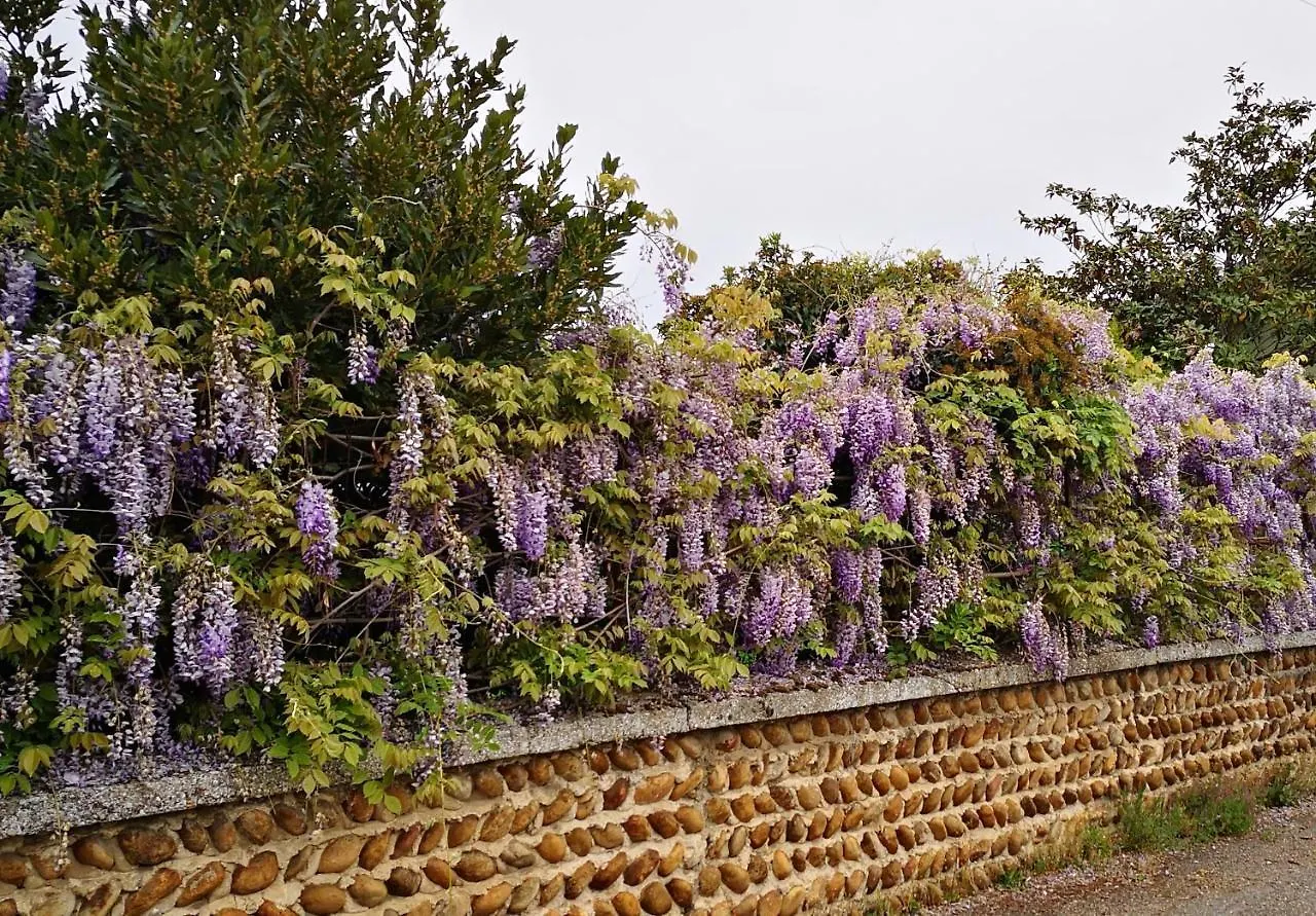 Comme A La Maison Clonas-sur-Vareze Apartment